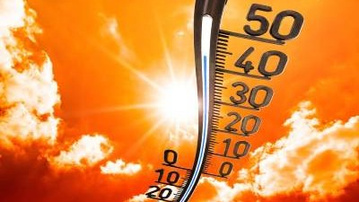 image-1689663863_default-1