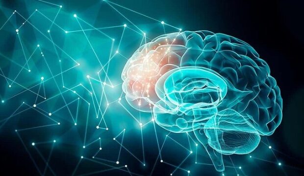 image-1690187114_24_main-v1690184292