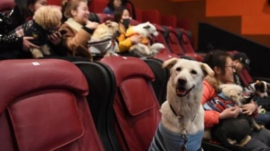 image-1691041947_8s3ndlmqkbx16mzh7796gptzy81mfgz2