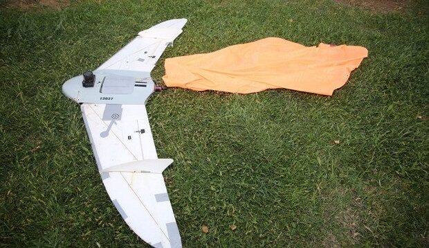 image-1691391746_1663400742_pua