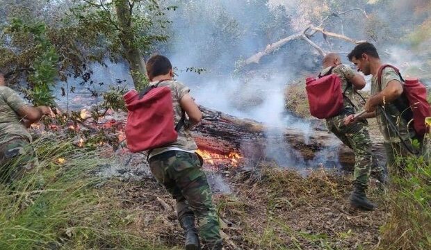 image-1691827213_calilabad_forest_fire_190621_4