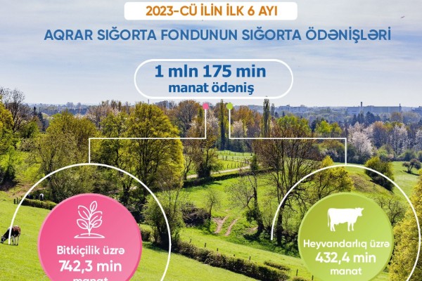 image-1692166815_infoqrafik_odenis_1