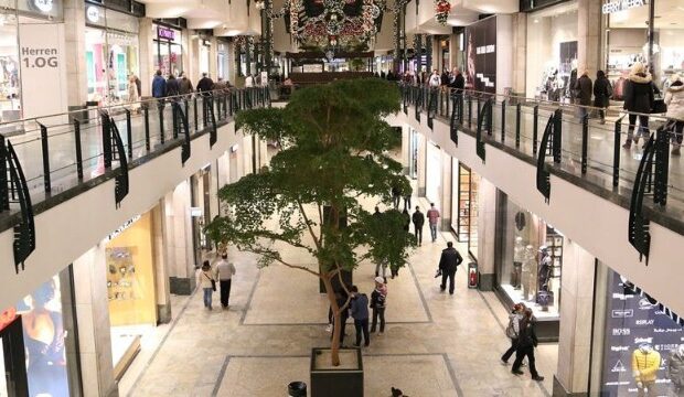 image-1692336722_43b9a0f5e8e04ec09c2ca2988766ef8d