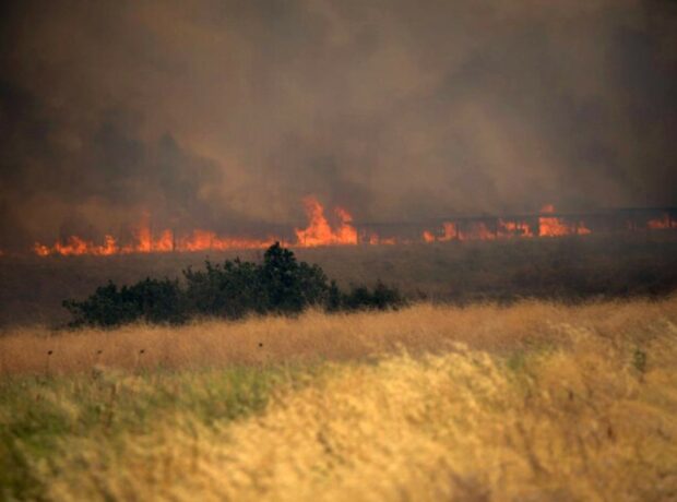 image-1692564008-dedeagacta-yangin-buyudu-yunanistan-acil-durum-ilan-etti_27377925