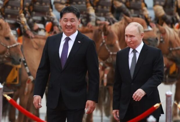 image-image_750x_66d7fb9bdf90b