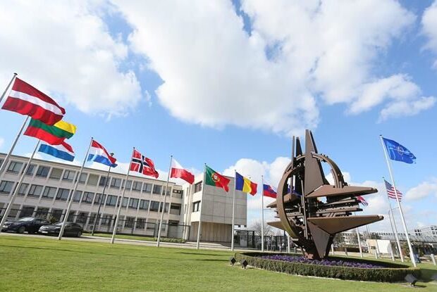 image-nato