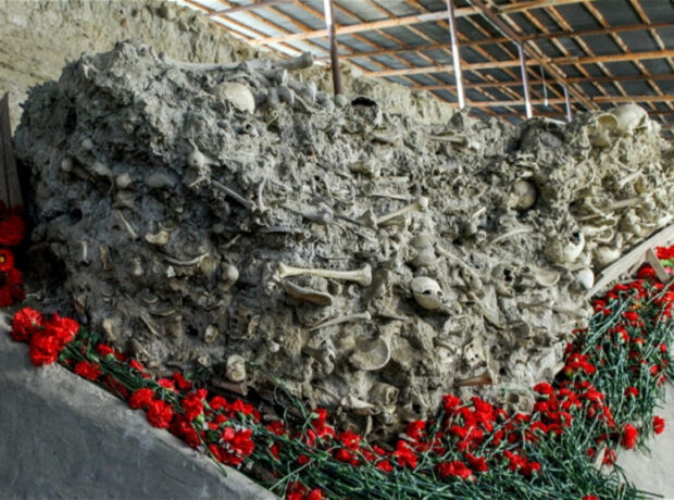 image-thumb