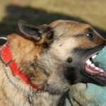 image-1745493097-it-kuceitleri
