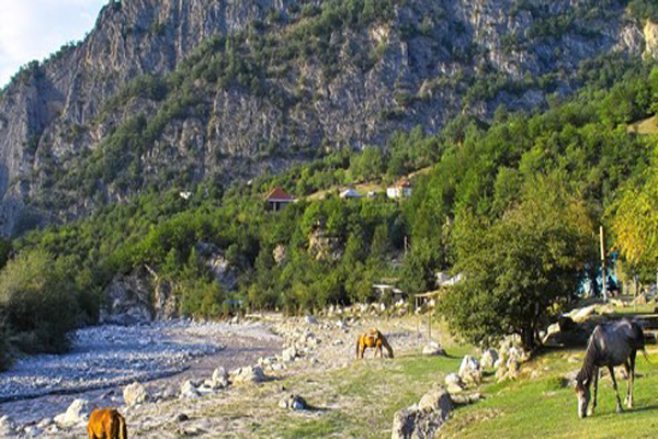 image-02