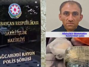 image-0b798b8e-76d7-40c5-adaf-7e7d4b4c14a9