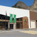 image-1725454961324379089_1200x630