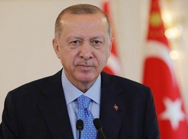 image-7e24db0eba8d4af9082e1e7258c4eb00