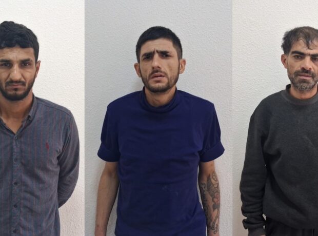 image-8c423817-c835-4ed8-bac8-de730f1fc64f