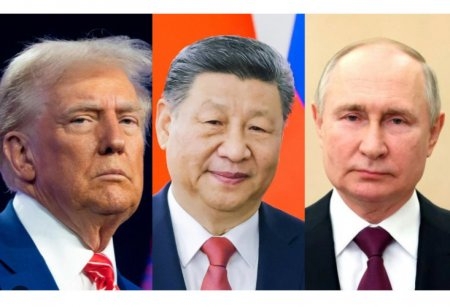 image-9ba9f9d711440f569c90b82387a7134c