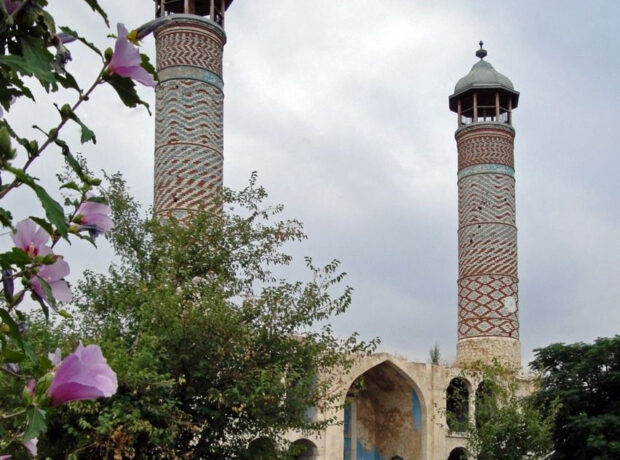 image-media-d4fdd74980c1d4af3501fff226209190-hjyxqo3crpzsug60n1b4