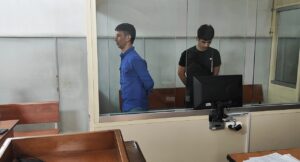 image-screenshot_20251105_195635_com_hihonor_photos_slotalbumactivity