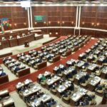 image-image_750x_68e8c6b704603