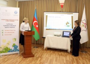 image-0c9ca903-6371-4d78-b7b6-e39775ec9868