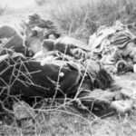 image-7f16109f155116279648501377110201855