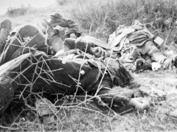 image-7f16109f155116279648501377110201855