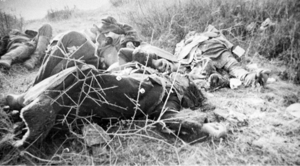 image-7f16109f155116279648501377110201855