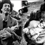 image-_innews_011632507b759ba48f1ca8b28_o