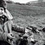 image-media-media-images-1-mb73oecg1sfw6z9phaiy-ljzha0ruknwg6y3es7qx