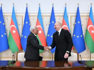 image-y3cqsa3bpkzezojrhog6ptkukfesfr4zqtm5y2o4