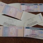 image-image_750x_63985952d62fd