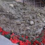 image-media-images-4mwuogs7k0pz2erciqhj